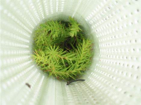 protectores_tubex_ecoforest7